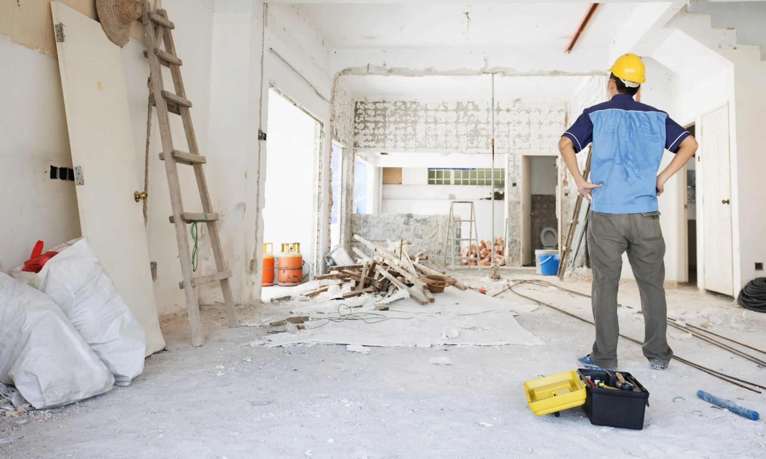 best renovators